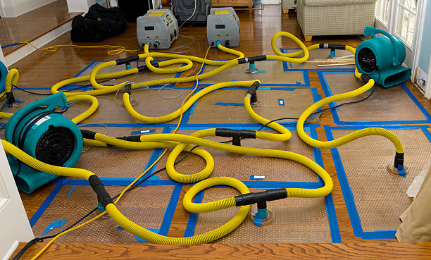 Professional Burst Pipe Water Damage technician working in Owensville, MO